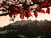 70 le foglie si colorano di rosso...